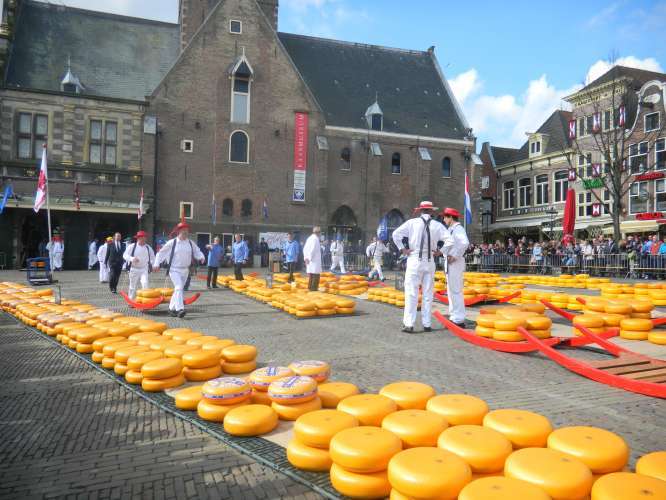 Kaasmarkt Alkmaar