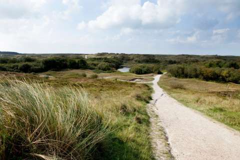 Duinen