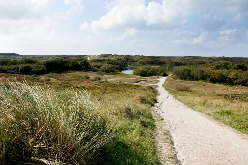 Duinen Duinen