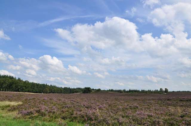 Aan Veluwe - 